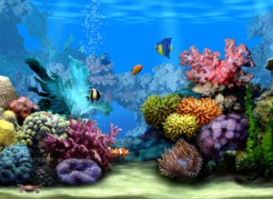 screensaver acquario per pc