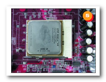 piedini della CPU