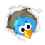 icona twitter